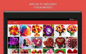 Rosas de Colores para Enamorar screenshot 9