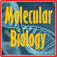 Basic Molecular Biology screenshot 8