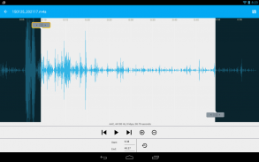 Audio Recorder and Editor Beta screenshot 0
