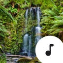 Rainforest Sounds icon