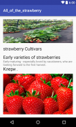 Tout sur les fraises screenshot 0