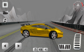 Sport Car Simulator screenshot 12