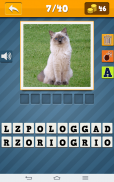 Cats Quiz screenshot 1