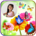 Butterfly Photo Frames Icon