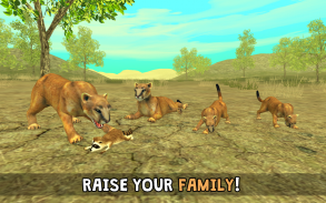 Wild Cougar Sim 3D screenshot 1