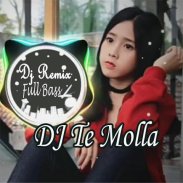 Dj Te Molla Remix Full Bass Offline screenshot 6
