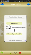 MCAT Biochemistry Flashcards screenshot 3