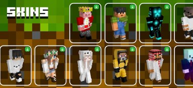 Mods & Skins for Minecraft PE screenshot 5