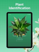 LeafSnap - Plant Identification screenshot 0