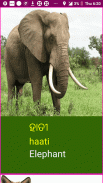 Learn Odia Wildlife and Body Parts Names screenshot 13