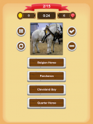 Horse Quiz screenshot 15