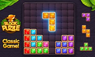 Block Puzzle Κόσμημα screenshot 13