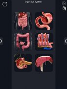 Digestive System screenshot 14
