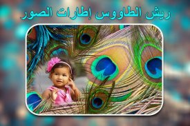 إطارات صور ريش الطاووس screenshot 5