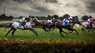 Horse Racing Wallpapers screenshot 9