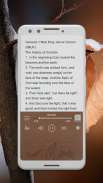 NKJV Audio Bible - New King James Audio Bible Free screenshot 16