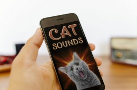 Sounds of cats screenshot 9