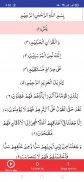 Surah Yaseen screenshot 6