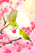 Plum-Blossom and White-Eye Tri screenshot 0