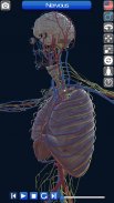 Anatomy 3D screenshot 6