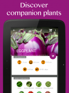 Vegetable Garden–Plant Growth screenshot 5