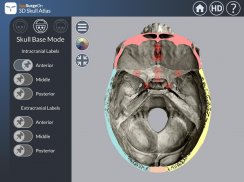 3D Skull Atlas screenshot 7