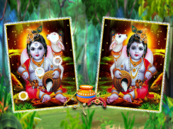 Krishna Spot The Differences - Find It Puzzle screenshot 3