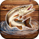 Fish rain: sport fishing Icon
