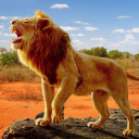 The Lion Icon