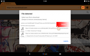 Download Accelerator Plus screenshot 13
