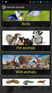 Animal Sounds screenshot 4