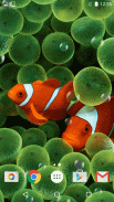 Aquarium Hintergrund screenshot 2