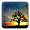 Sunset Hill Free LiveWallpaper Icon