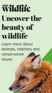 BBC Wildlife Magazine screenshot 15