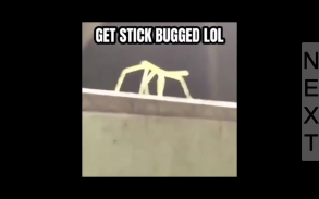 Find Stick Bug screenshot 0