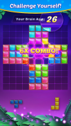 Block Puzzle - 블럭 퍼즐 screenshot 12