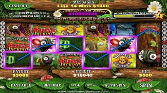 Big Money Lucky Lady Bugs Slots FREE screenshot 13
