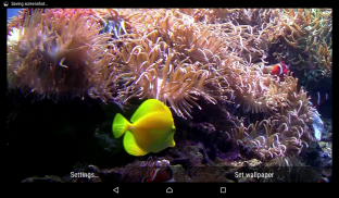 Aquarium Live Wallpaper screenshot 5