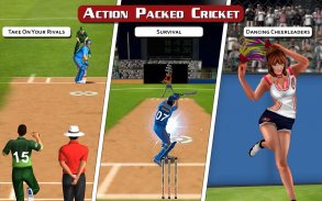 MSD: World Cricket Bash screenshot 5