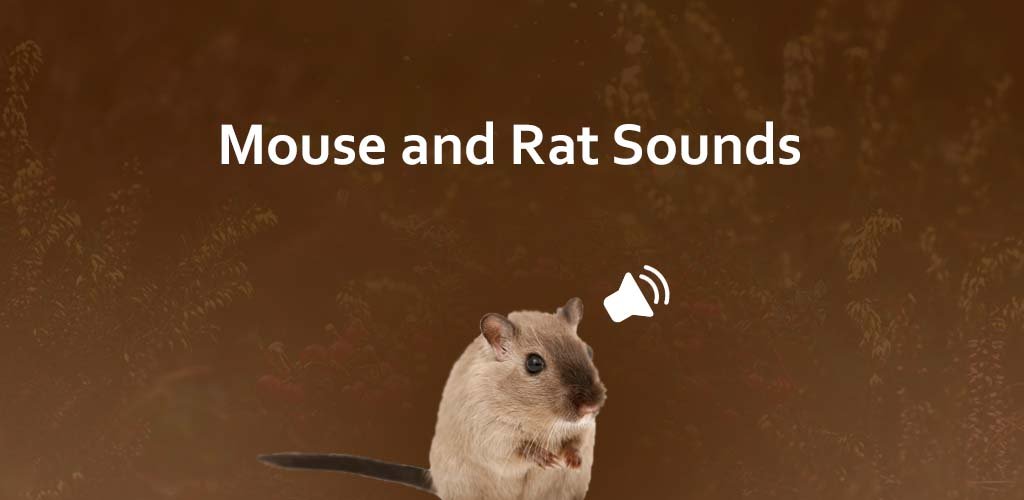 Mouse Sounds купить. Imya9mice.