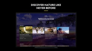 Nat Geo TV: Live & On Demand screenshot 15