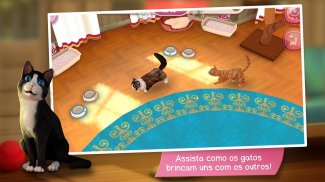 CatHotel - Hotel para gatos screenshot 6