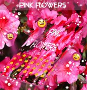 Teclado de flores rosa screenshot 2