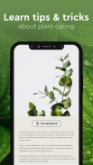 Plant Identifier, Insect ID screenshot 6