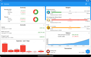 Fast Budget - Expense Manager screenshot 13