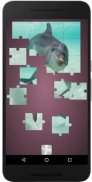 Real Dolphins Game : Jigsaw Puzzle 2019 screenshot 1