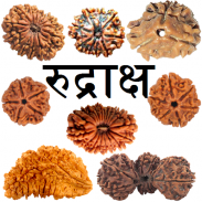 Rudraksha Information screenshot 2