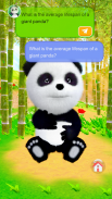 Talking Panda screenshot 6