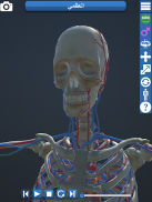 Anatomy 3D screenshot 2
