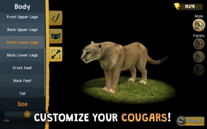 Wild Cougar Sim 3D screenshot 4